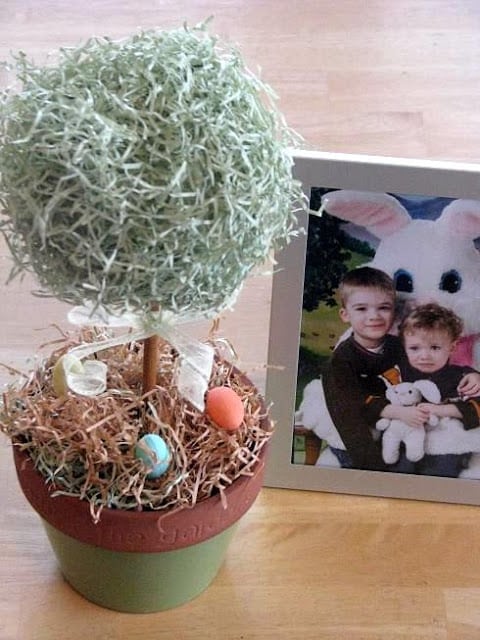 topiary in flower pot displayed on table