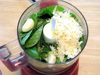 pesto ingredients in food processor bowl