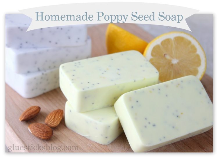 Homemade Poppyseed Soap www.gluesticksblog.com