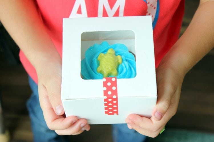 turtle cupcake in box