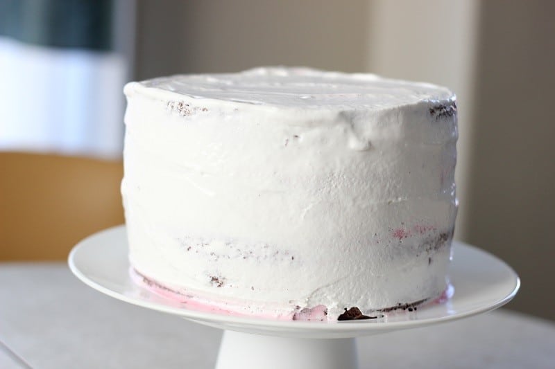 frosted chocolate peppermint cake