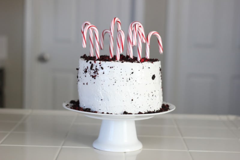 peppermint ice cream cake on white cake stand