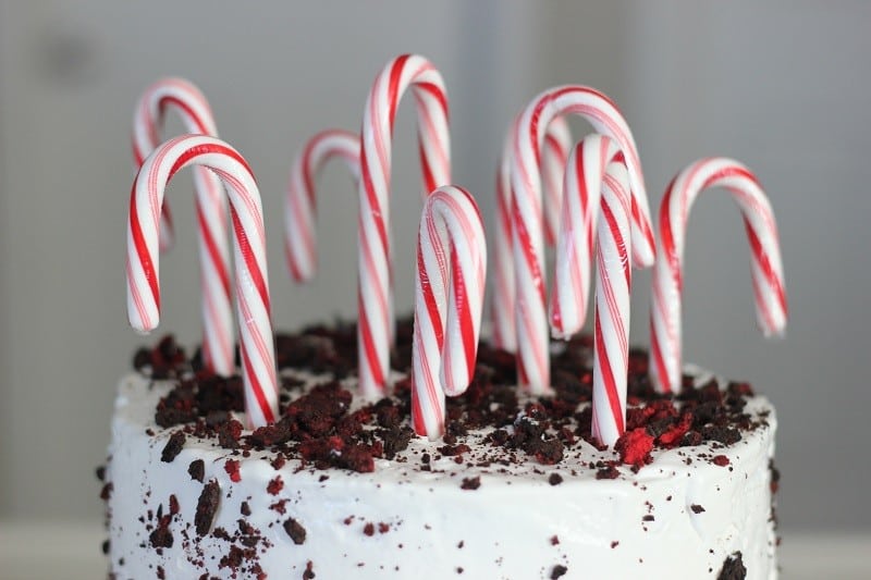 peppermint cake with candy canes on top