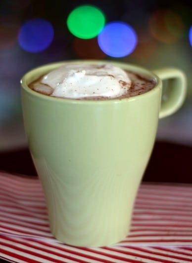 mug of hot chocolate with whipped cream