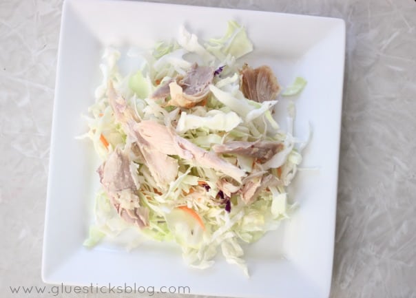 cabbage salad and chicken on plate