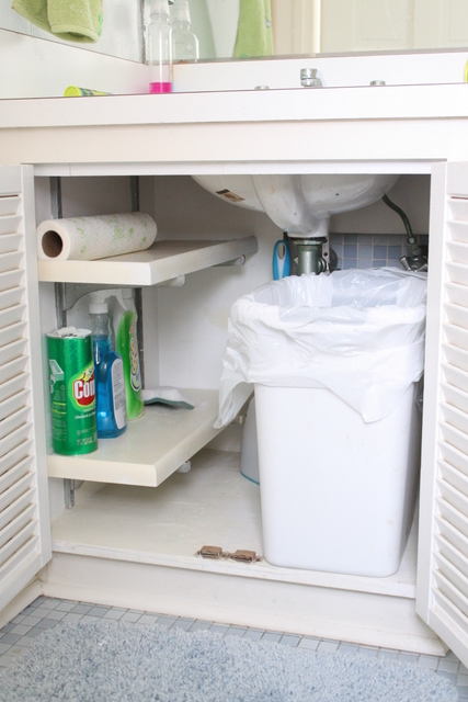 trash can under the kitchen sink