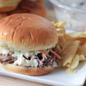 North Carolina pork sandwich with chips on plate