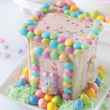 pop tart bunny house centerpiece