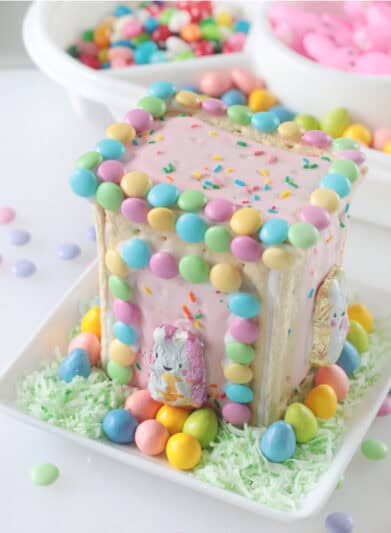 pop tart bunny house centerpiece
