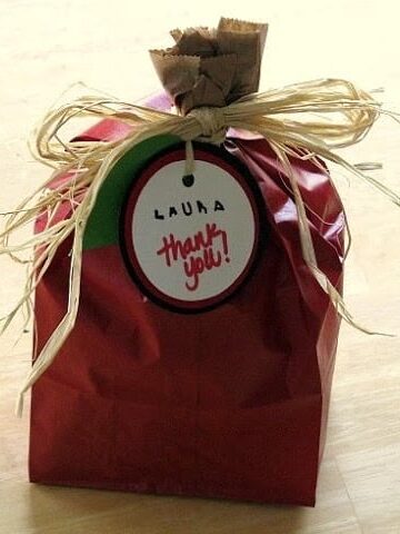 lunch sack painted red to look like an apple