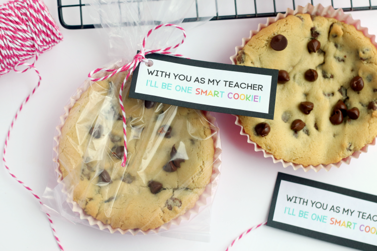 Oven Mitt “Smart Cookie” Teacher Gift Idea - Just Add Confetti