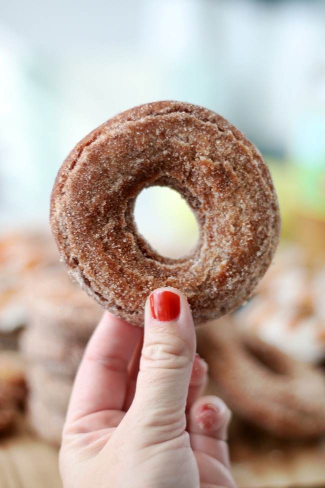 hand holding up cinnamon sugar donuts