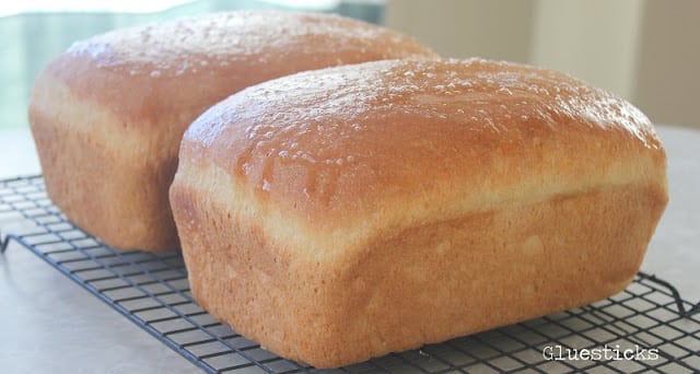 two loaves of amish white bread on cooling rack