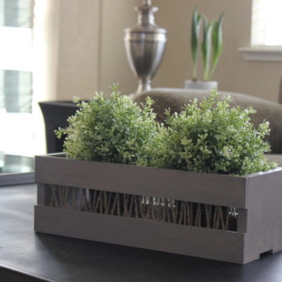 crate with plants inside