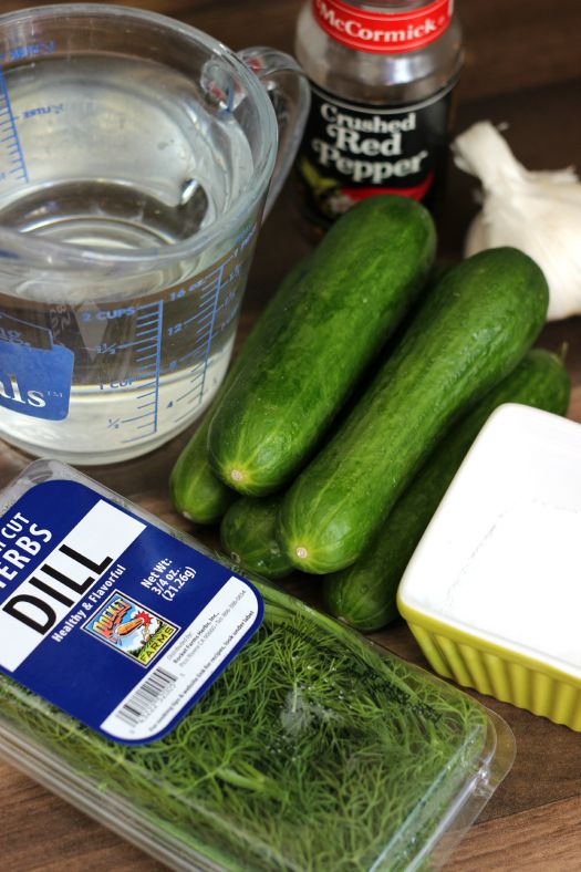 cucumbers, salt, vinegar, pepper flakes, garlic and dill on counter