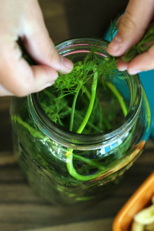 hand shoving fresh dill into jar