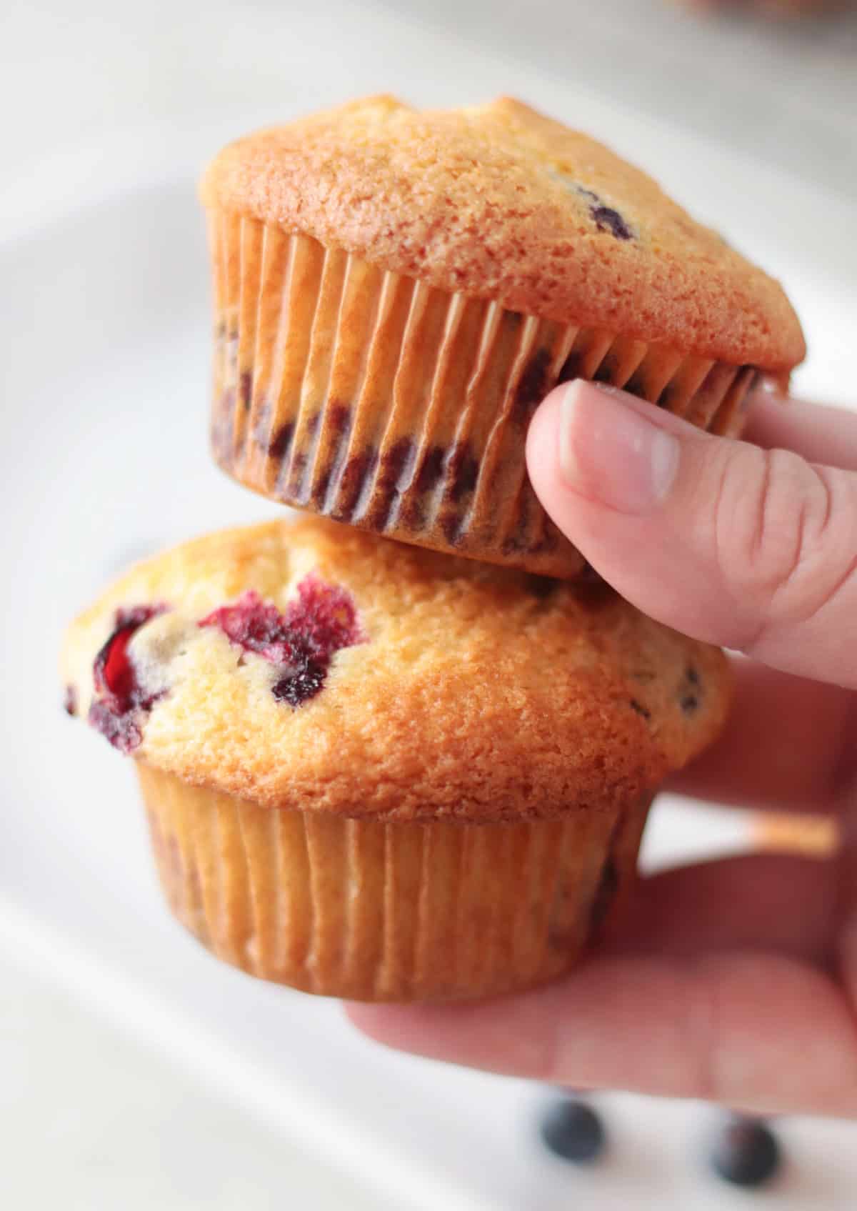 Hand holding two blueberry muffins.