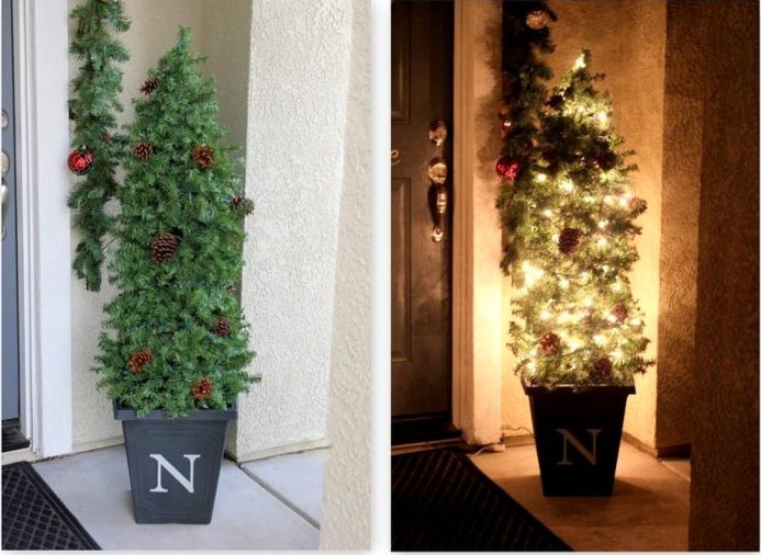 side by side of topiary with lights and without lights