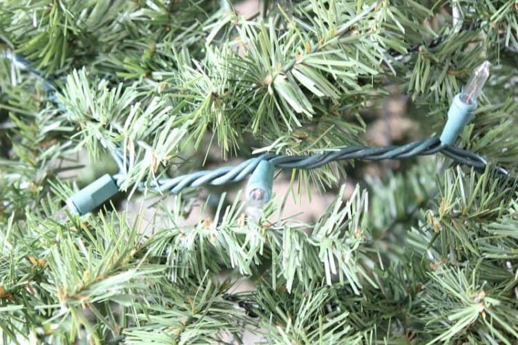 White lights wrapped around topiary.