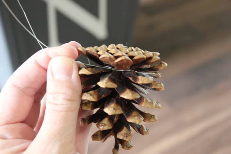 pinecone with wire tied to it