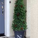 evergreen topiary on front porch