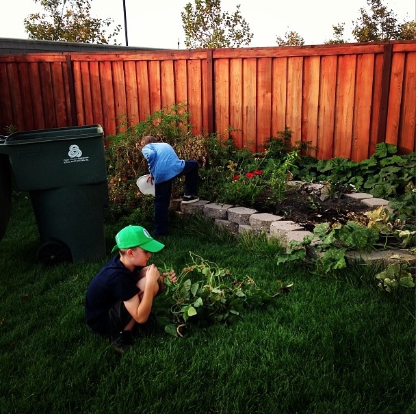 children weeding garden