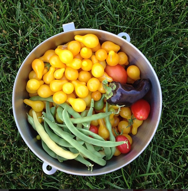 bowl of tomatoes and green beans