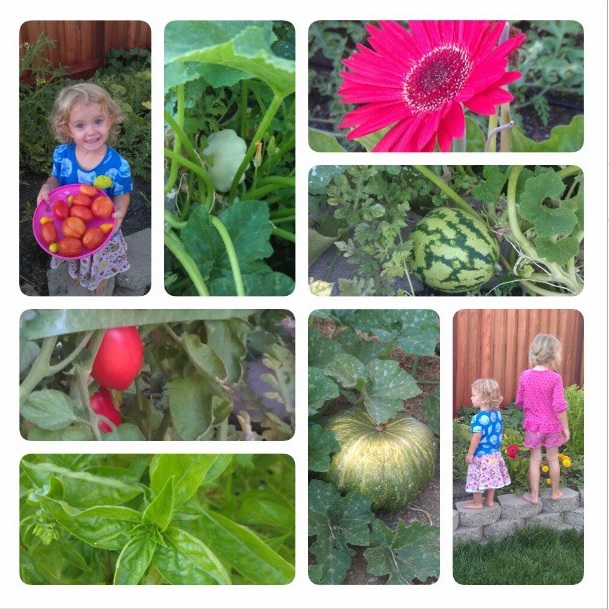 collage of backyard garden