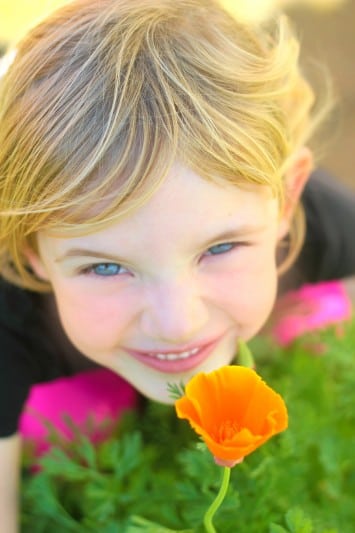 little girl with orange poppy