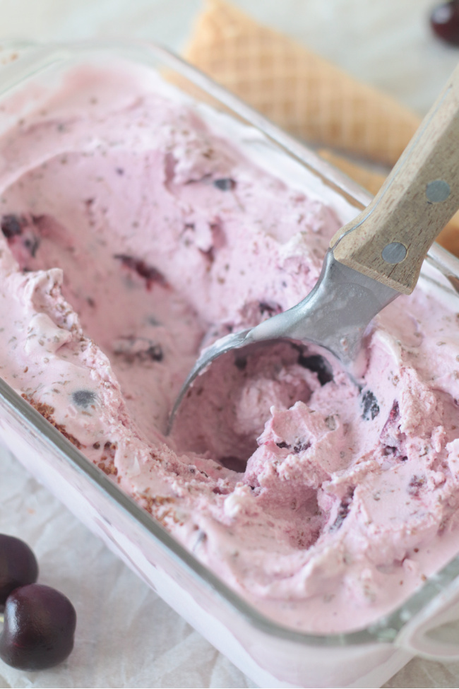 ice cream scoop in cherry ice cream