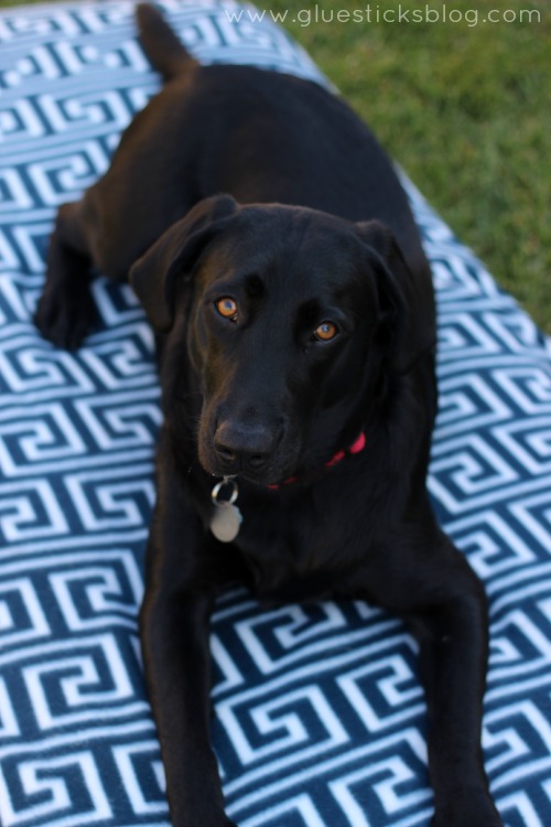 dog laying on crib mattress dog bed