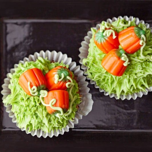 pumpkin patch cupcakes