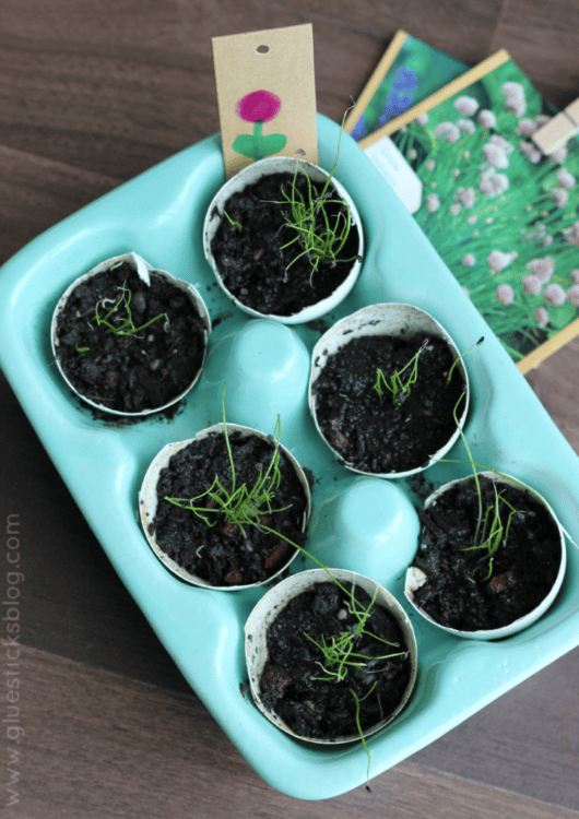 Eggshell Seed Planters For Spring