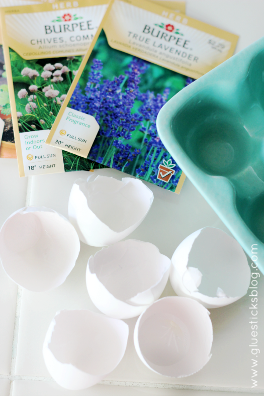empty egg shells and seed packets