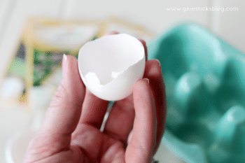 Eggshell Seed Planters For Spring (video) - Gluesticks Blog