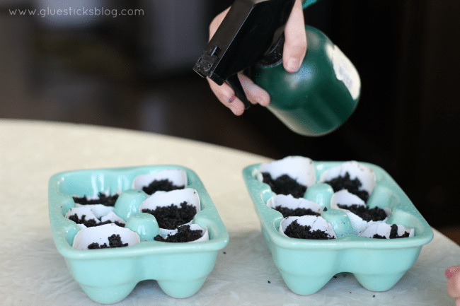 water bottle spritzing egg shell planters with water