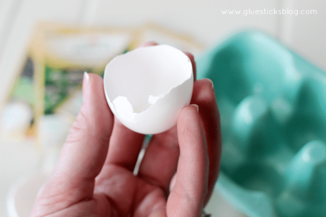 hand holding egg shell