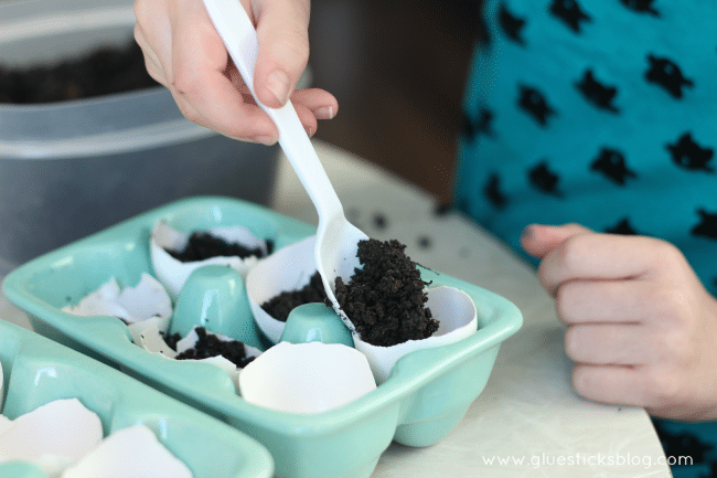 child filling eggshells with soil