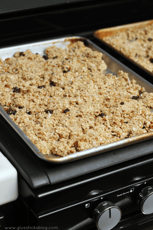Crunchy and sweet, this coconut almond granola recipe is easy to make and one that the entire family will love! Add raisins, dates, or any other healthy add-ins for the perfect breakfast.