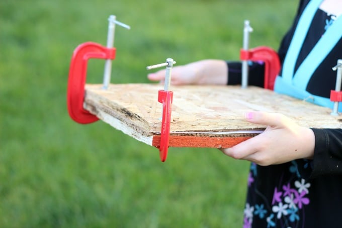 DIY Flower Press: Make Pressed Flowers for Art Projects! - Gluesticks Blog