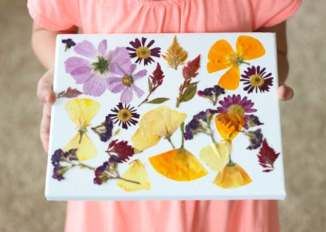 Flower Pressing: How To Press Your Own Flowers for Creative Projects