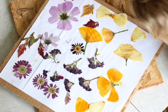 DIY Book Flower Press (free craft from the garden)