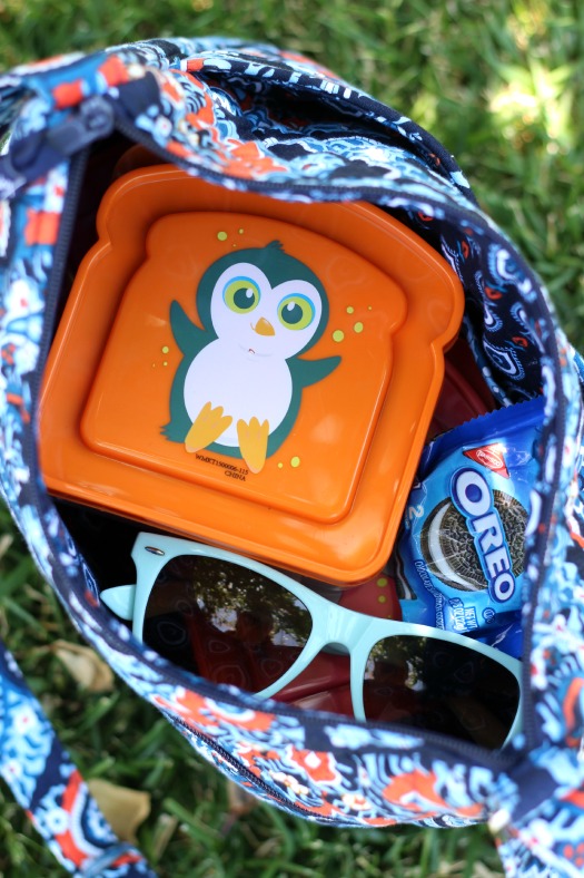 Now that school is out for the summer, turn those plastic sandwich containers into the perfect on the go snacks for outings to the park, the beach, or on car rides!