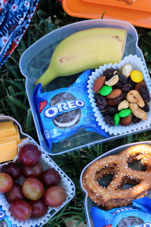 Now that school is out for the summer, turn those plastic sandwich containers into the perfect on the go snacks for outings to the park, the beach, or on car rides!