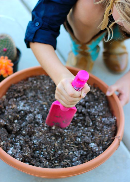 A cactus fairy garden is perfect for summer! It requires very little water, is easy to take care of, and brightens your porch all summer long! 