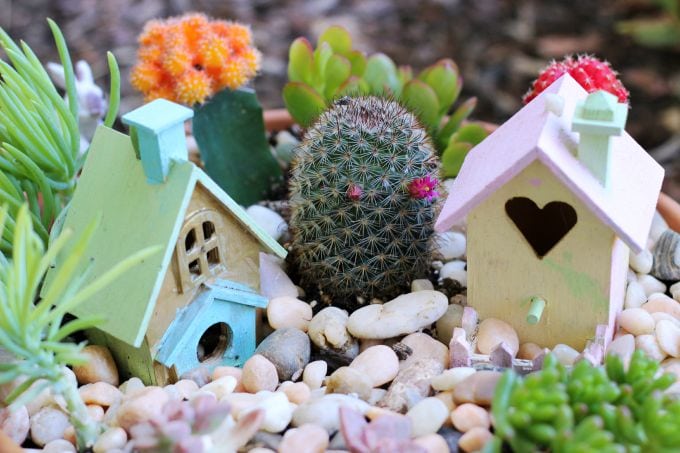 A cactus fairy garden is perfect for summer! It requires very little water, is easy to take care of, and brightens your porch all summer long! 