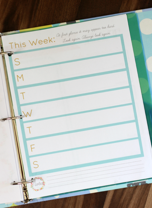 Free planner pages to keep you organized! Monthly calendar pages, menu planner, grocery list, weekly planning pages and MORE! 3 hole punch and add to a 3 ring binder. Add tabs and dividers for a home organization binder or day planner!