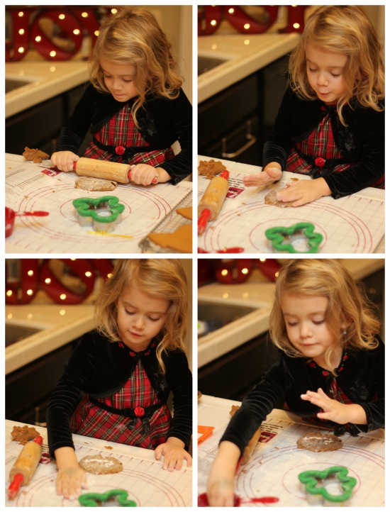 Gingerbread Cookie Houses