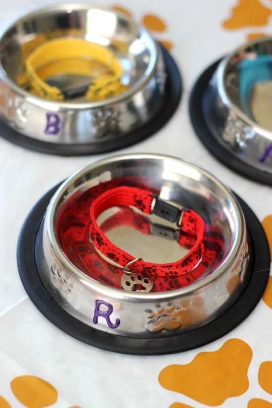 dog bowls and collars