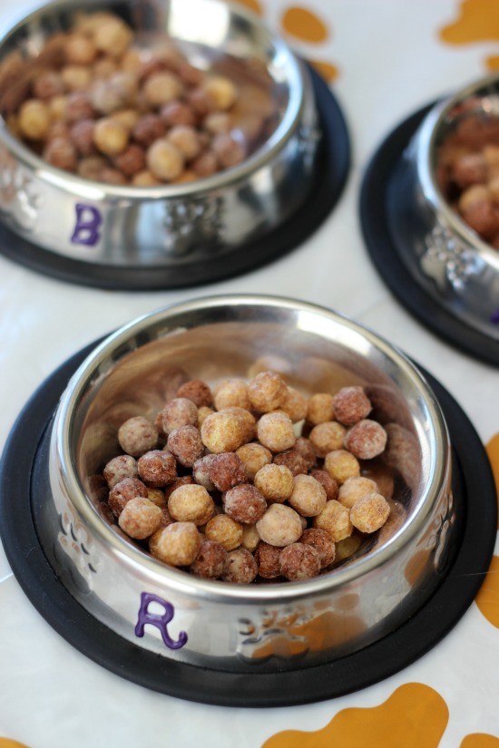 dog food bowl filled with cereal